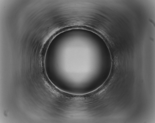 X0000101711118200807101558