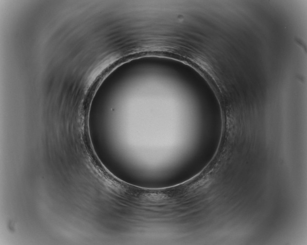 X0000101711119200807101558
