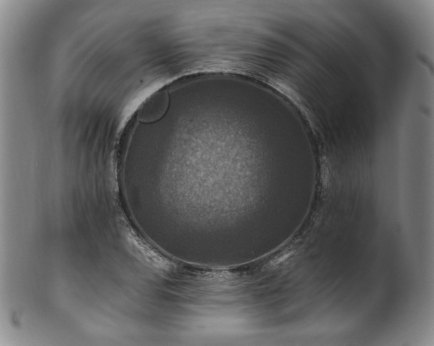 X0000101711120200807101558