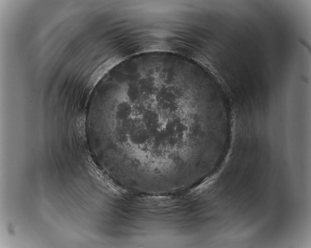 X0000101711121200807101558