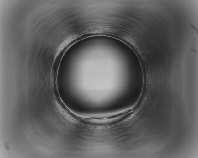 X0000101711122200807101558