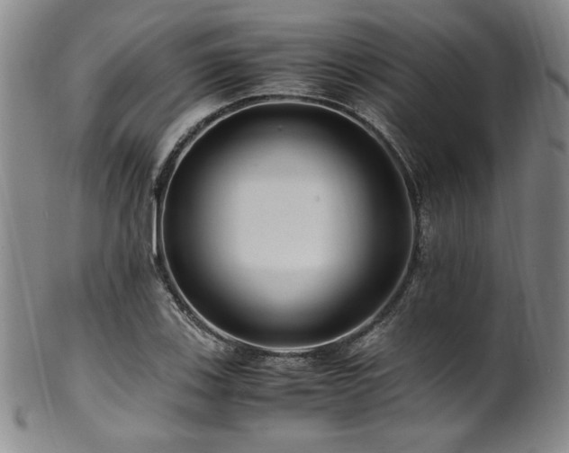 X0000101711123200807101558