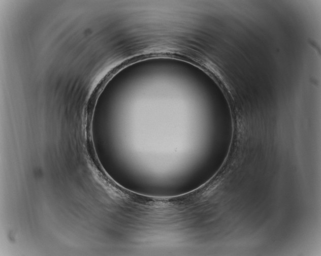 X0000101711124200807101558