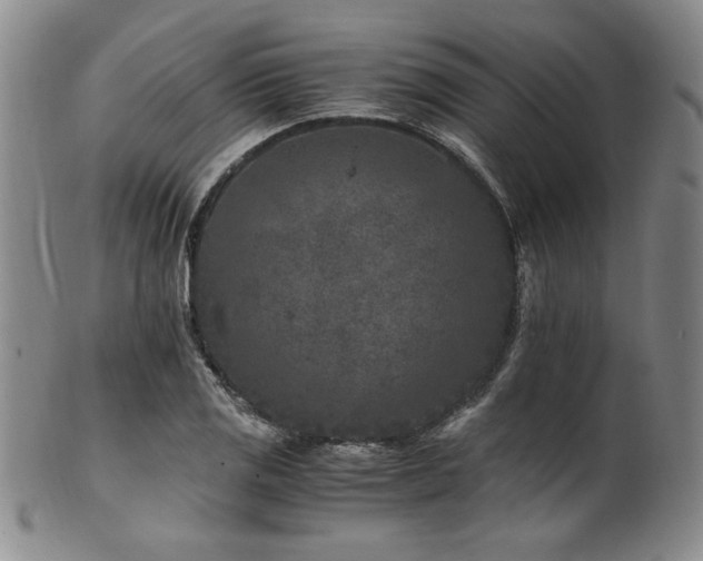 X0000101711125200807101558