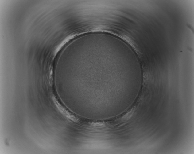 X0000101711126200807101558
