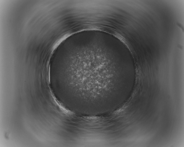X0000101711127200807101558