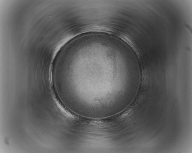 X0000101711128200807101558