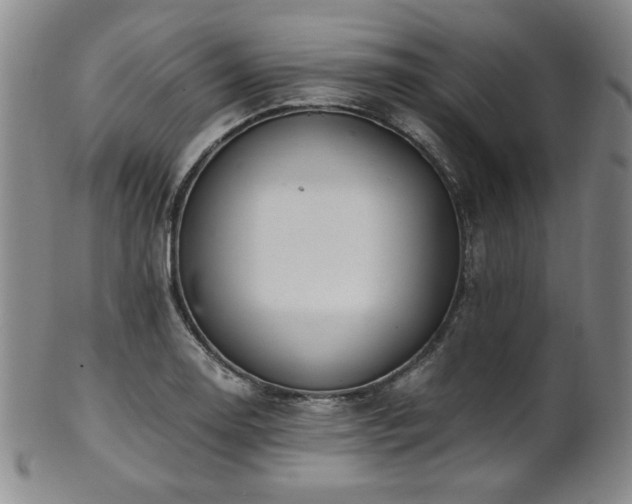 X0000101711130200807101558