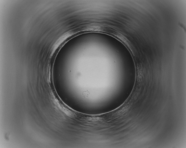 X0000101711131200807101558