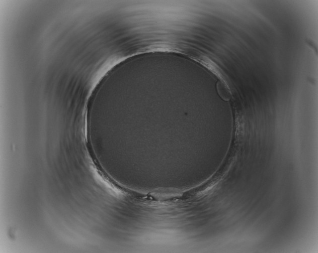 X0000101711132200807101558