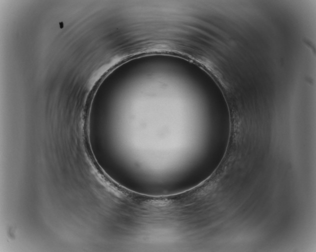 X0000101711134200807101558