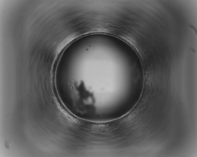 X0000101711135200807101558
