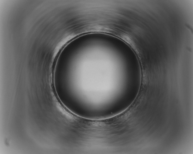 X0000101711136200807101558