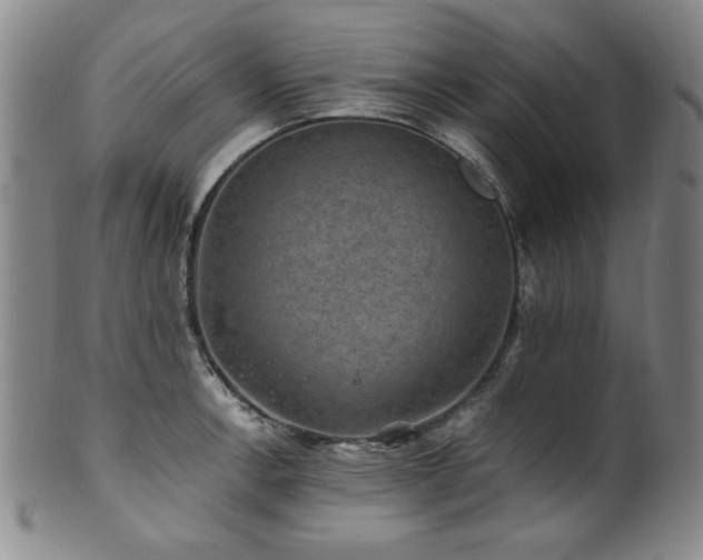 X0000101711138200807101558