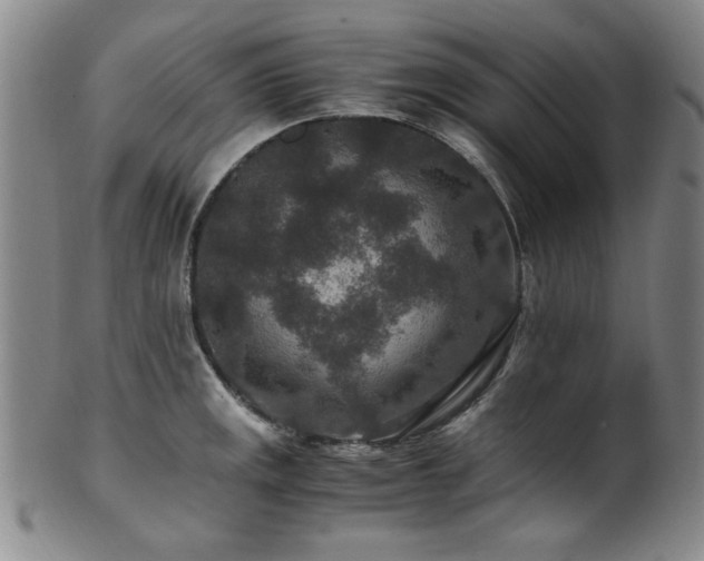 X0000101711141200807101558