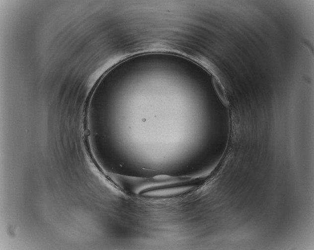 X0000101711142200807101558