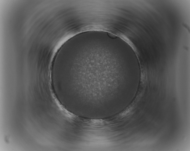 X0000101711144200807101558