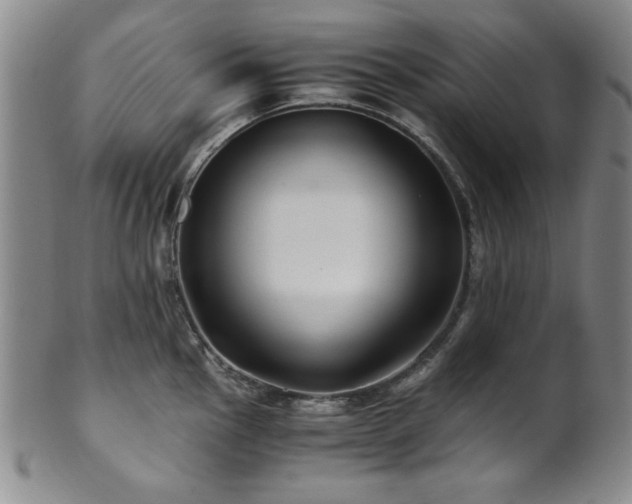 X0000101711145200807101558