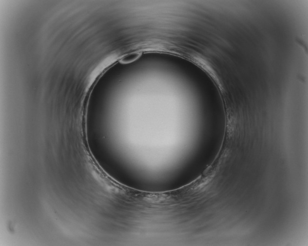 X0000101711146200807101558