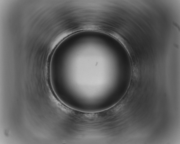 X0000101711147200807101558