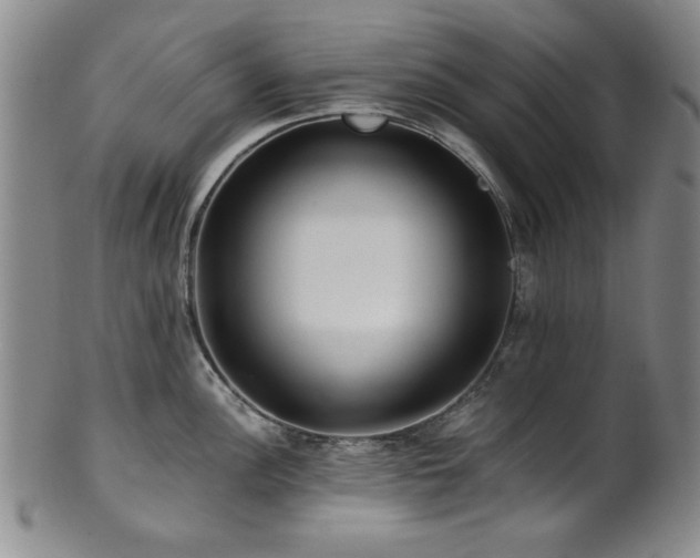 X0000101711148200807101558