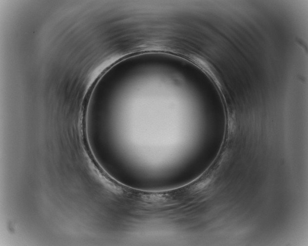 X0000101711149200807101558