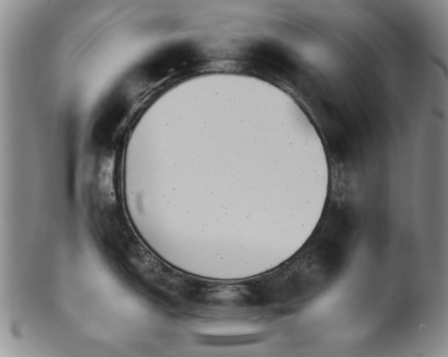 X0000101711150200807101558
