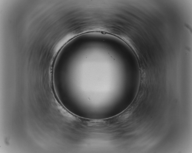 X0000101711151200807101558