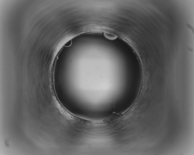 X0000101711152200807101558