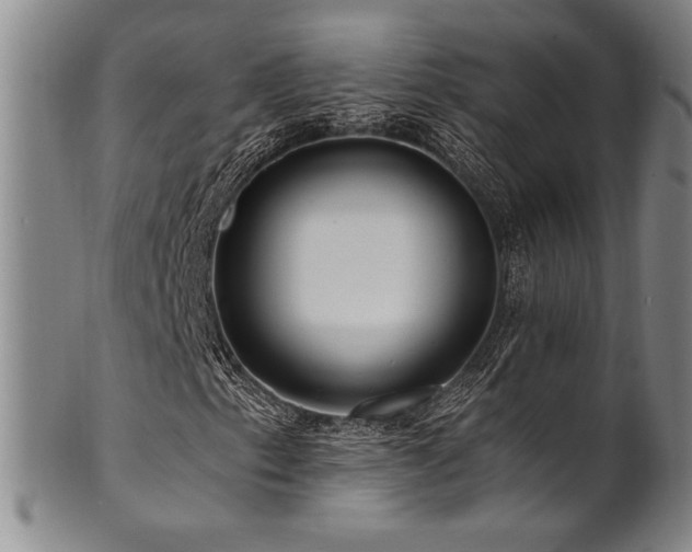 X0000101711153200807101558