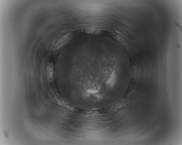 X0000101711154200807101558