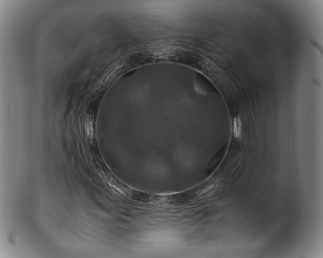 X0000101711155200807101557