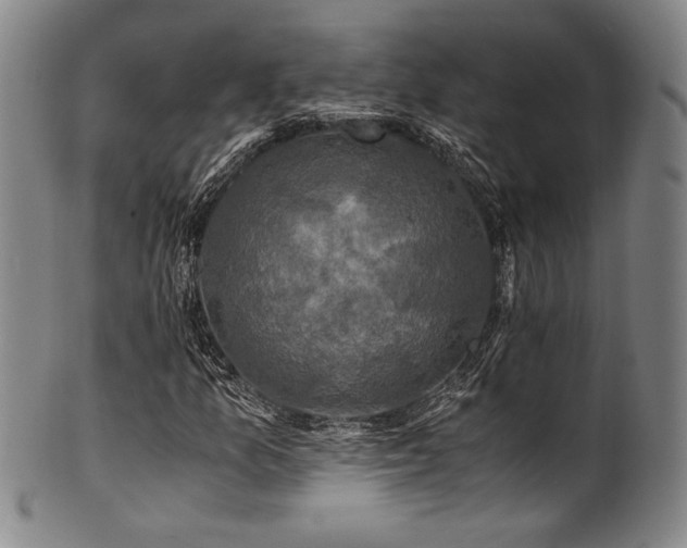 X0000101711157200807101557
