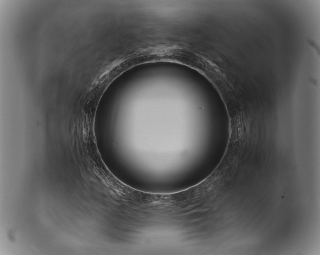 X0000101711158200807101557