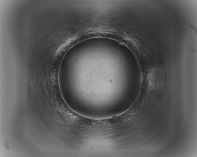 X0000101711159200807101557