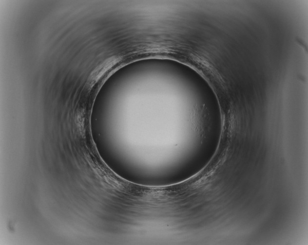 X0000101711162200807101557
