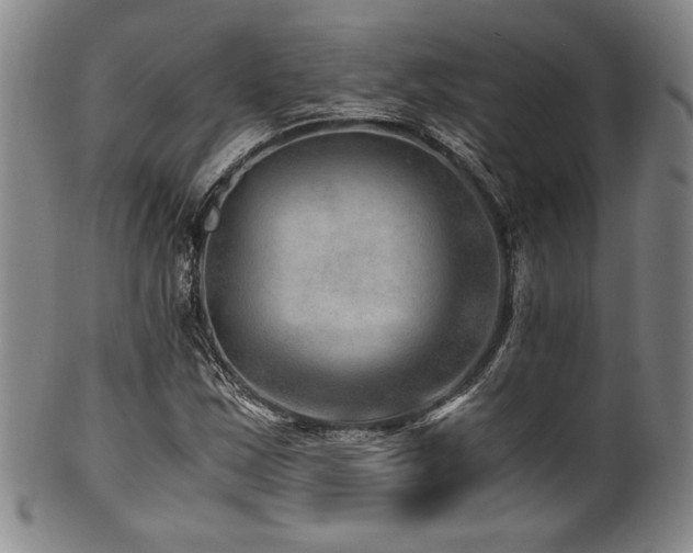 X0000101711163200807101557