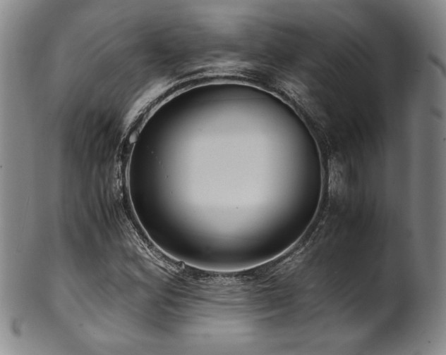 X0000101711164200807101557