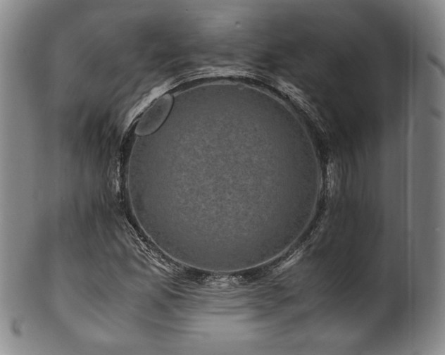 X0000101711165200807101557