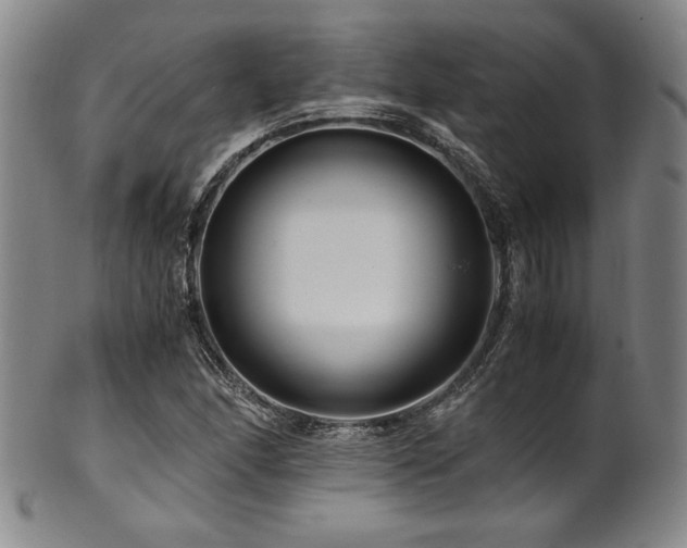 X0000101711166200807101557