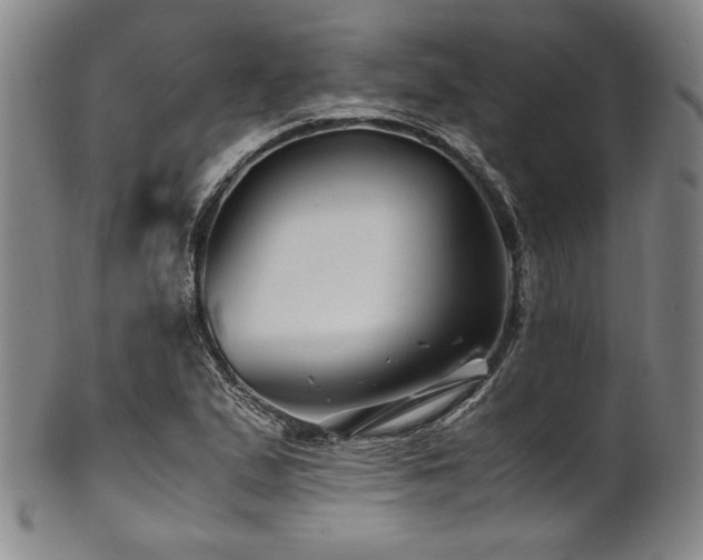 X0000101711167200807101557