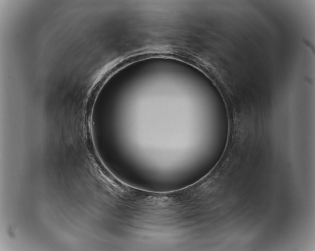 X0000101711168200807101557