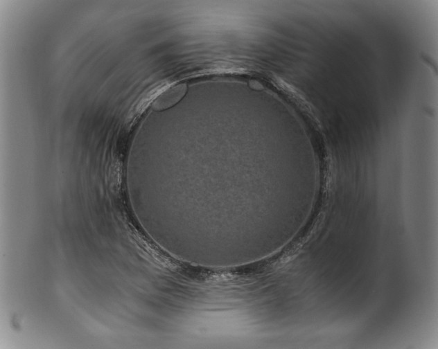 X0000101711169200807101557