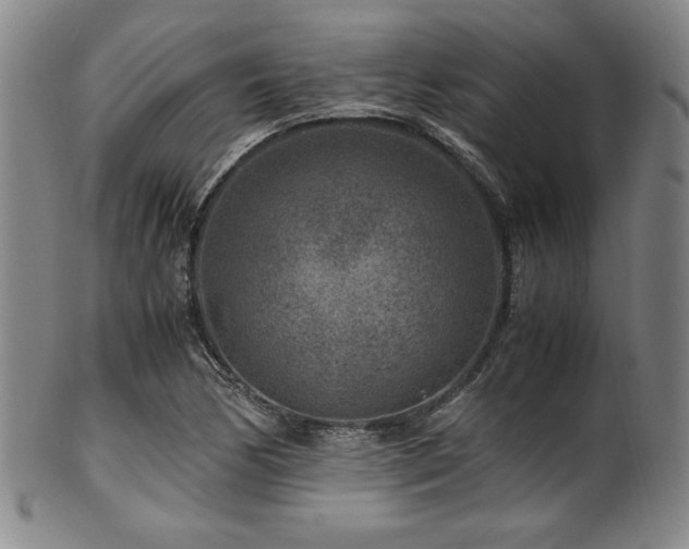 X0000101711170200807101557