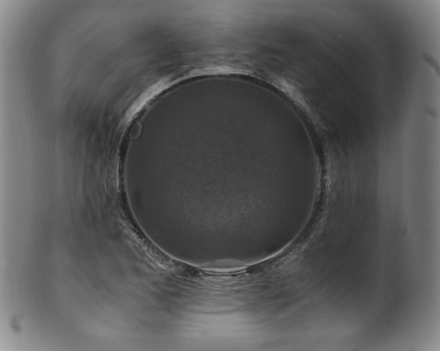 X0000101711173200807101557