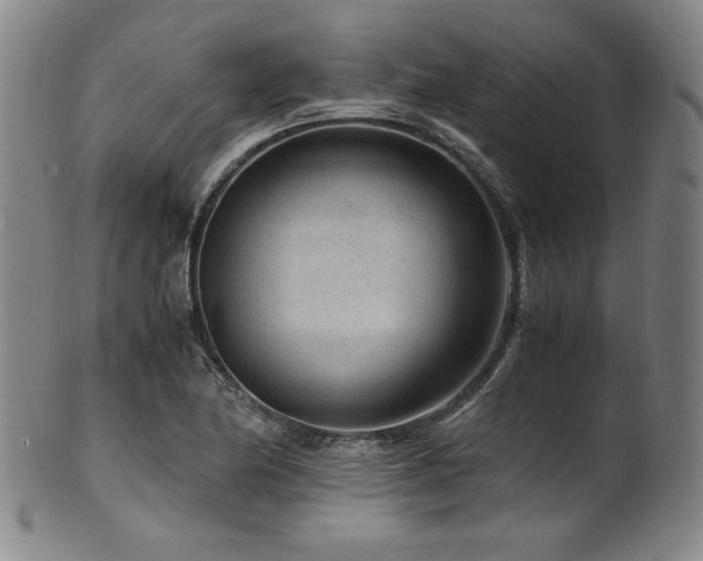 X0000101711174200807101557
