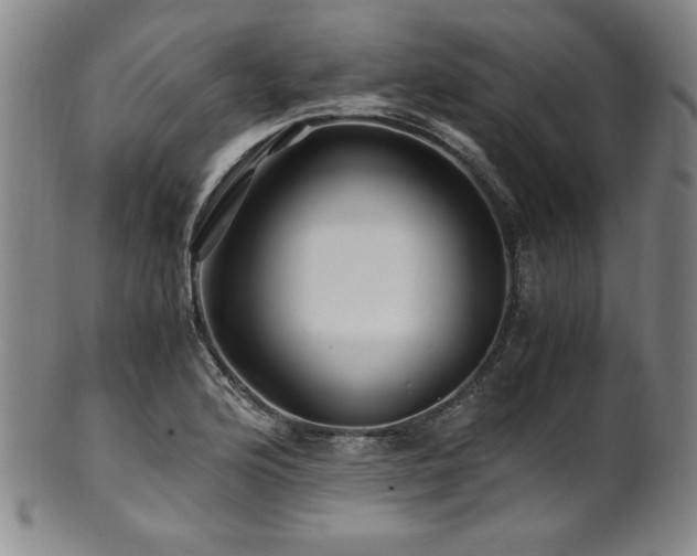 X0000101711176200807101557