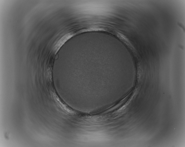 X0000101711177200807101557