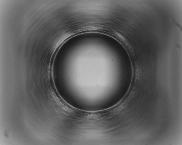 X0000101711178200807101557