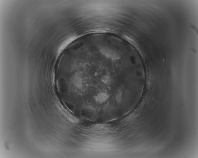 X0000101711179200807101557